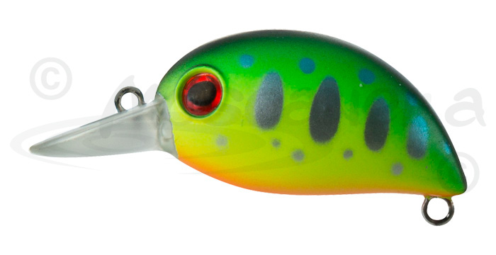 Воблеры ZipBaits - Baby Hickory: описание, цена, оптовые продажи